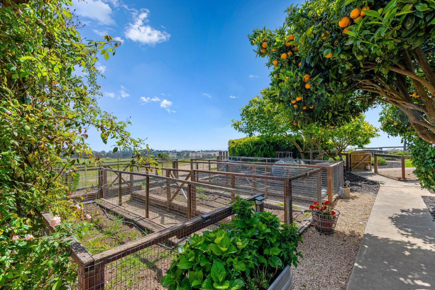 Detail Gallery Image 42 of 61 For 145 Coy Dr, La Selva Beach,  CA 95076 - 4 Beds | 3/1 Baths