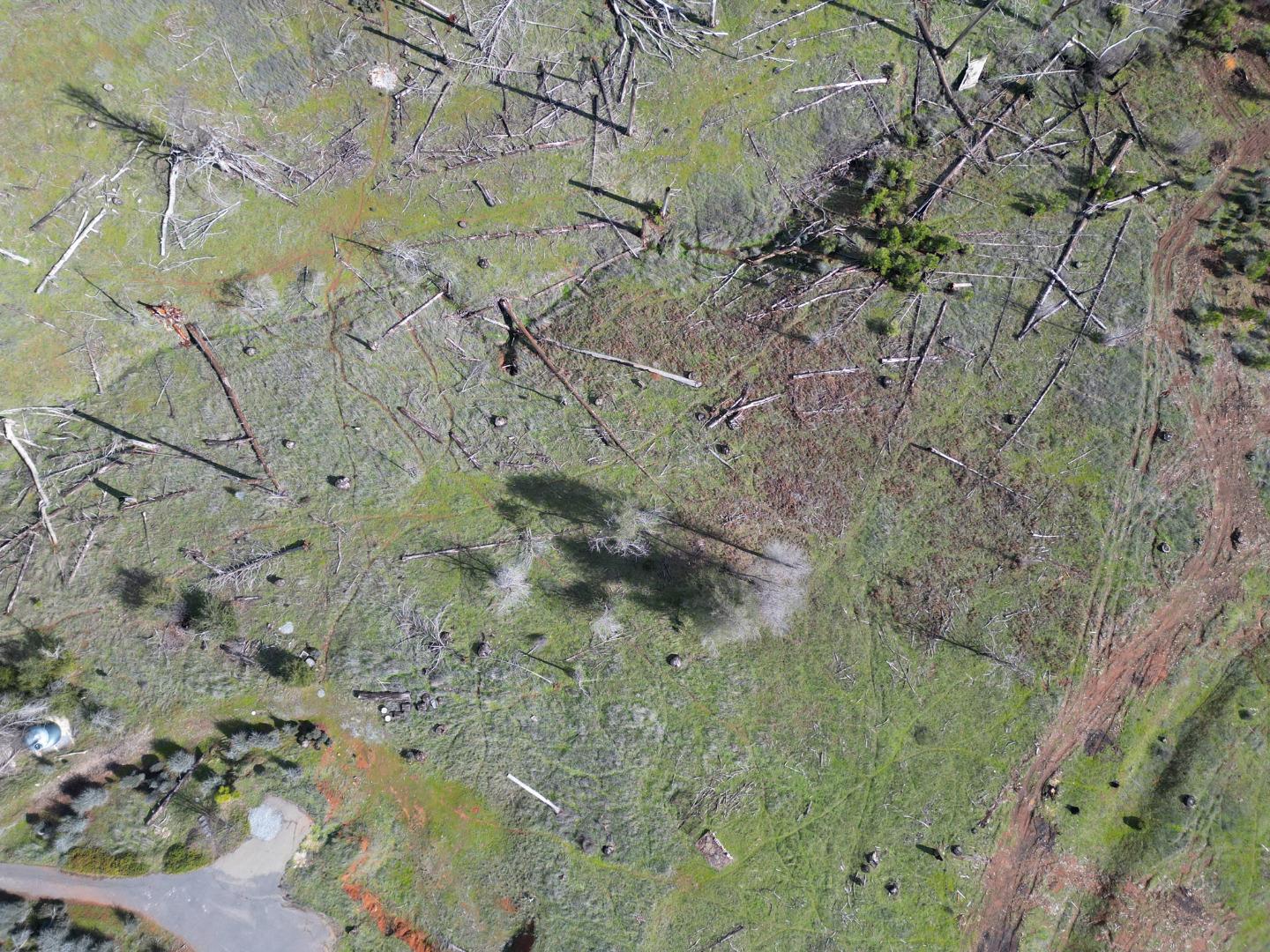 Detail Gallery Image 10 of 24 For Old Emigrant Trail West, Mountain Ranch,  CA 95246 - – Beds | – Baths