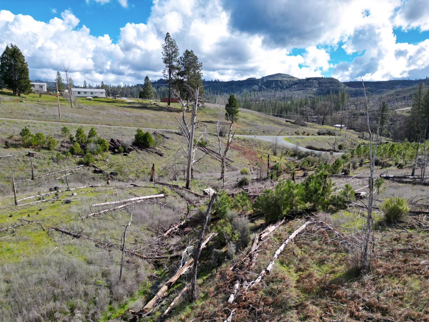 Detail Gallery Image 14 of 24 For Old Emigrant Trail West, Mountain Ranch,  CA 95246 - – Beds | – Baths