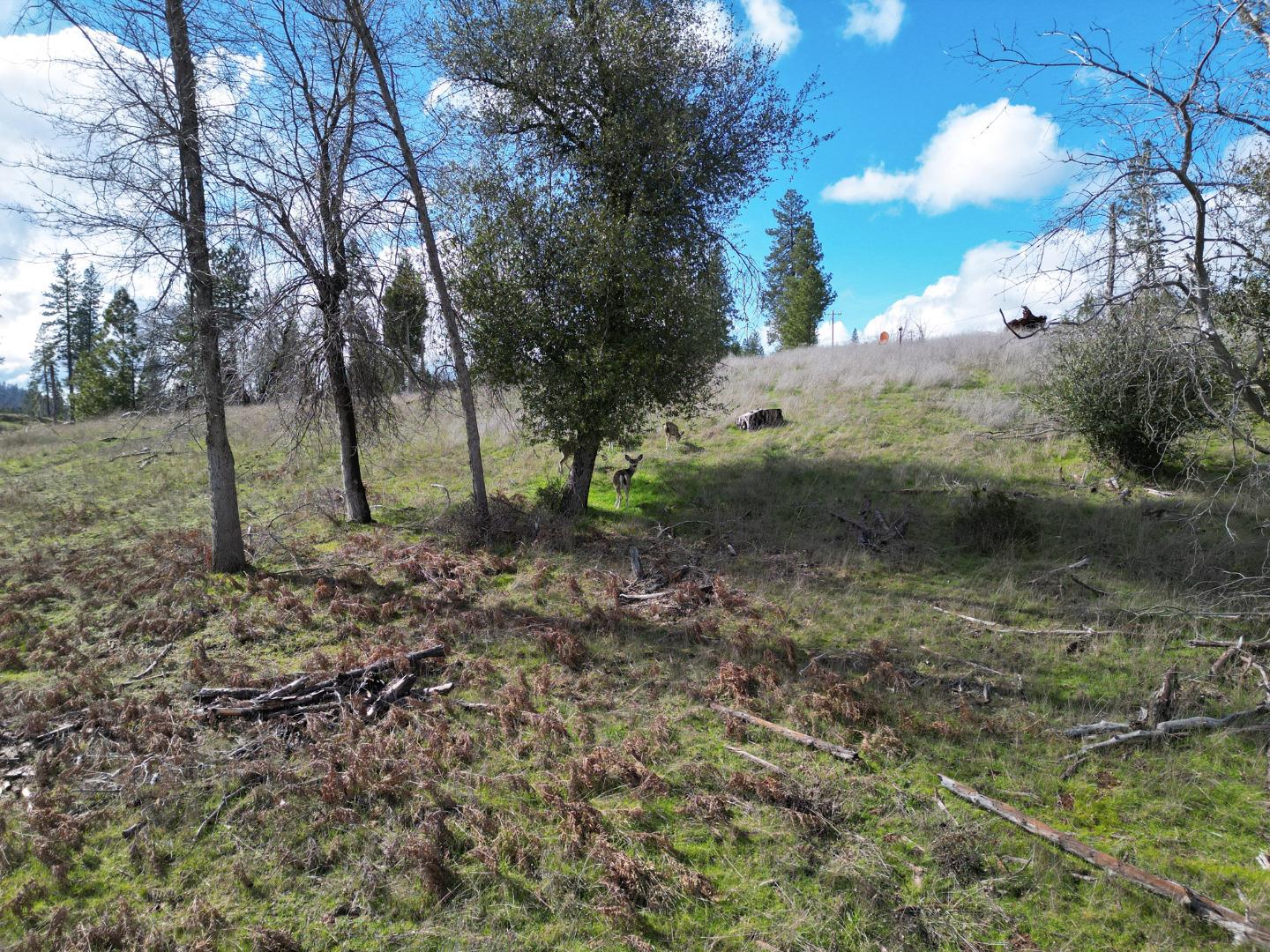 Detail Gallery Image 15 of 24 For Old Emigrant Trail West, Mountain Ranch,  CA 95246 - – Beds | – Baths