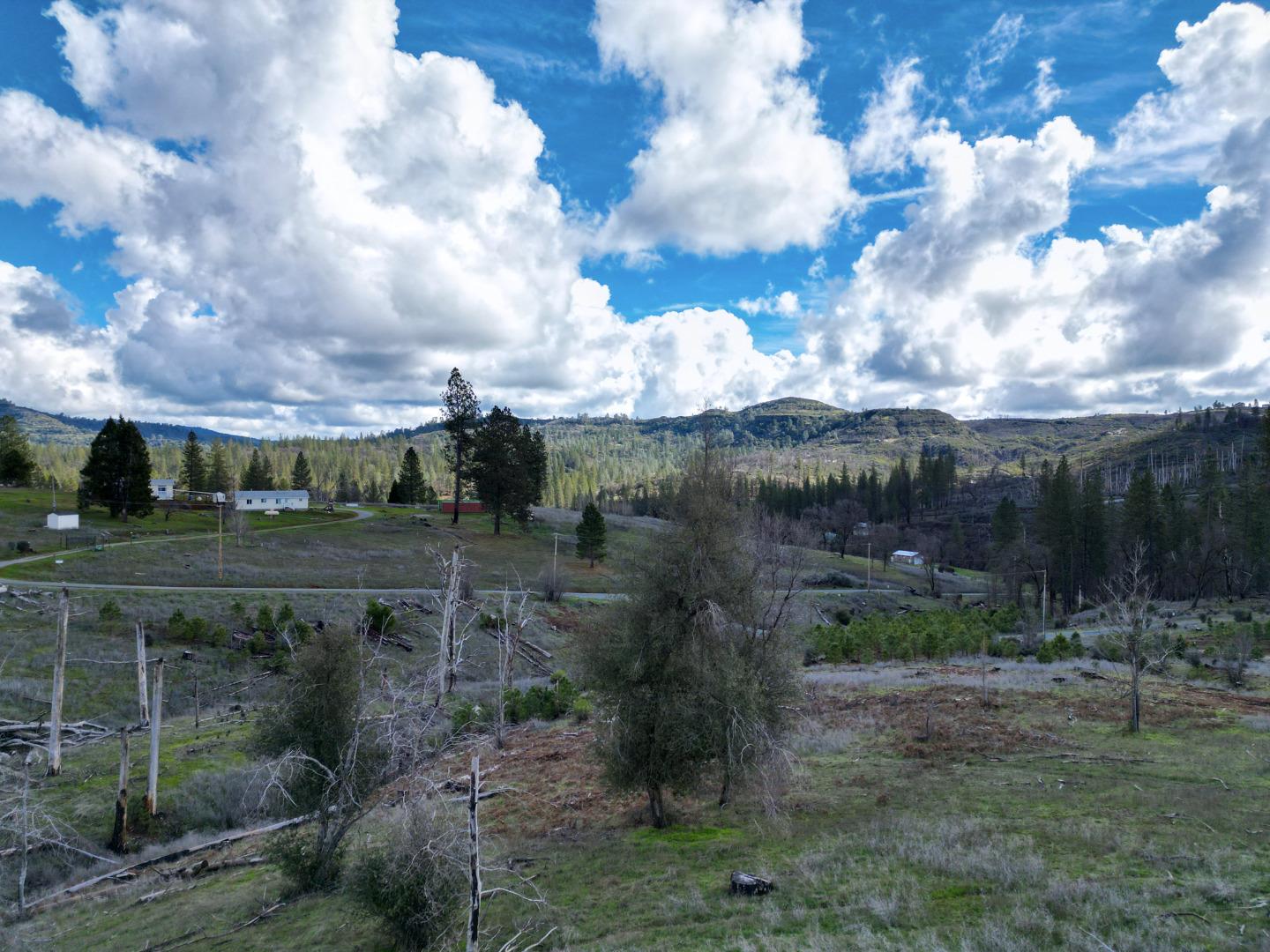 Detail Gallery Image 23 of 24 For Old Emigrant Trail West, Mountain Ranch,  CA 95246 - – Beds | – Baths