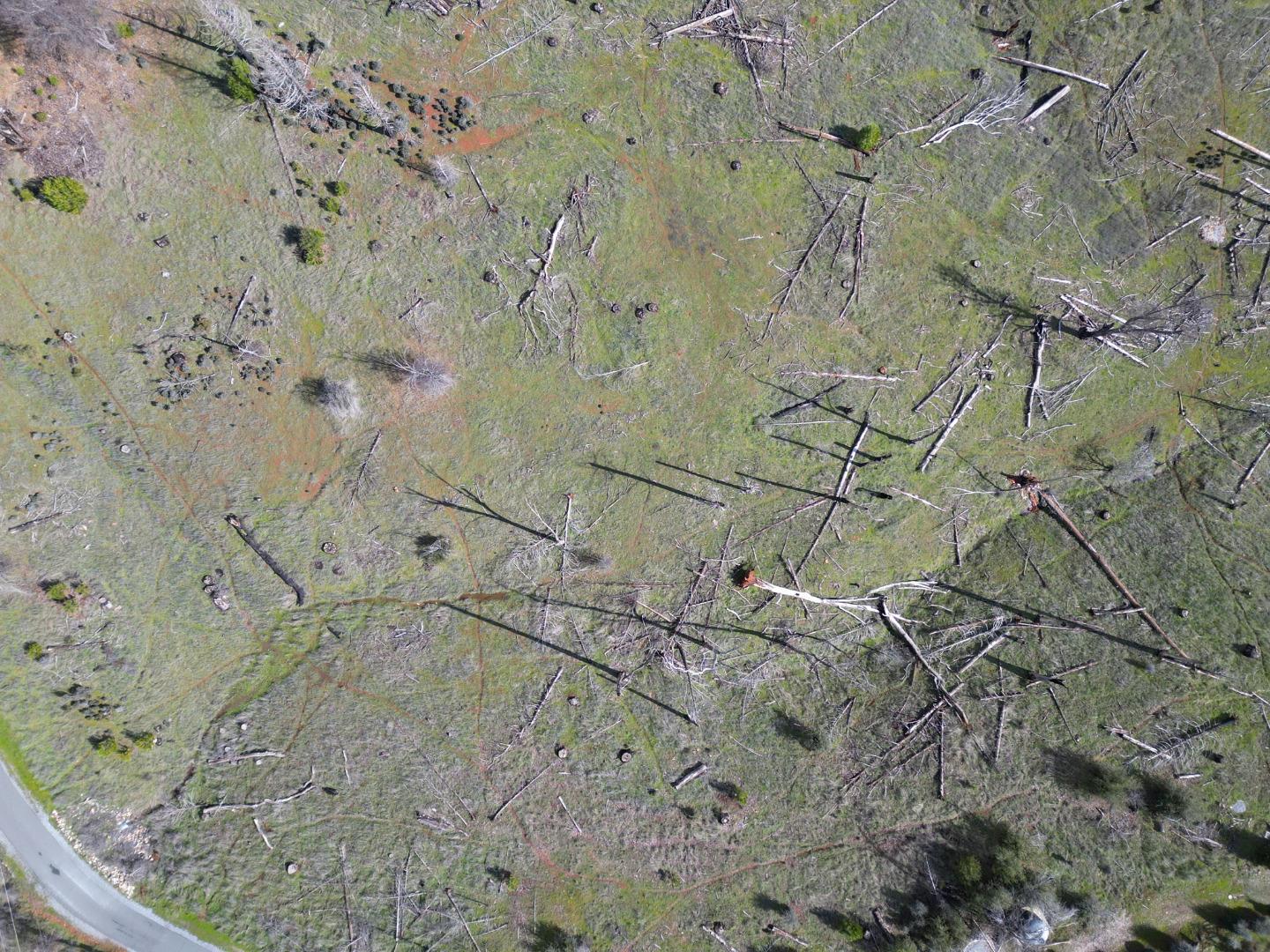 Detail Gallery Image 7 of 24 For Old Emigrant Trail West, Mountain Ranch,  CA 95246 - – Beds | – Baths