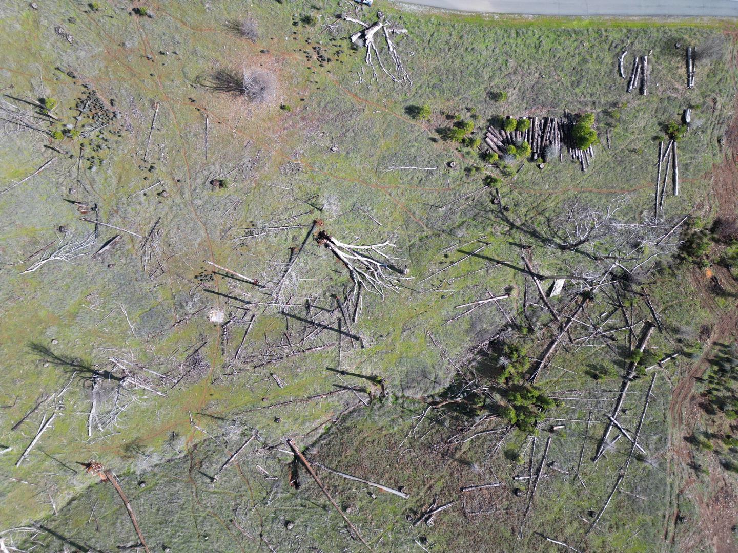 Detail Gallery Image 9 of 24 For Old Emigrant Trail West, Mountain Ranch,  CA 95246 - – Beds | – Baths