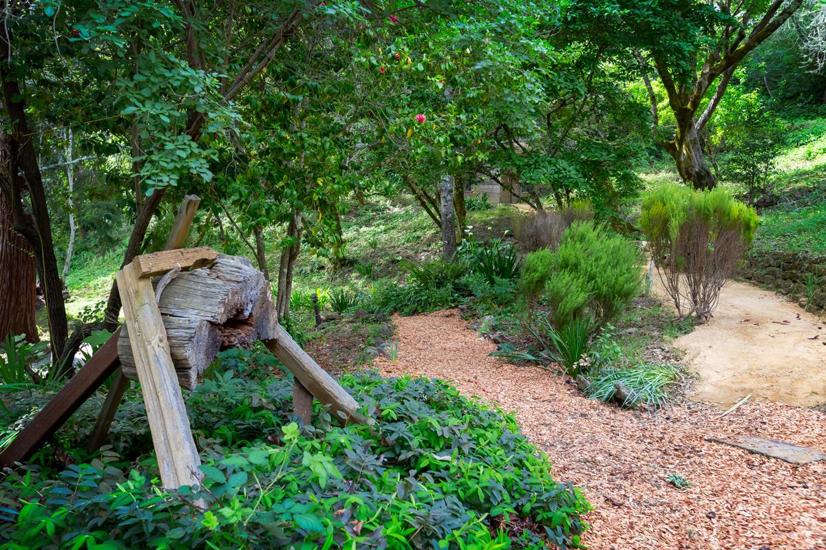 Detail Gallery Image 30 of 43 For 377 Wayside Rd, Portola Valley,  CA 94028 - 3 Beds | 2 Baths