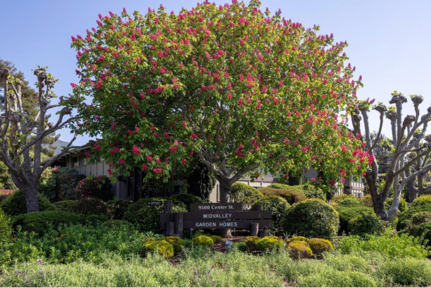 Detail Gallery Image 13 of 13 For 9500 Center St #57,  Carmel,  CA 93923 - 1 Beds | 1 Baths