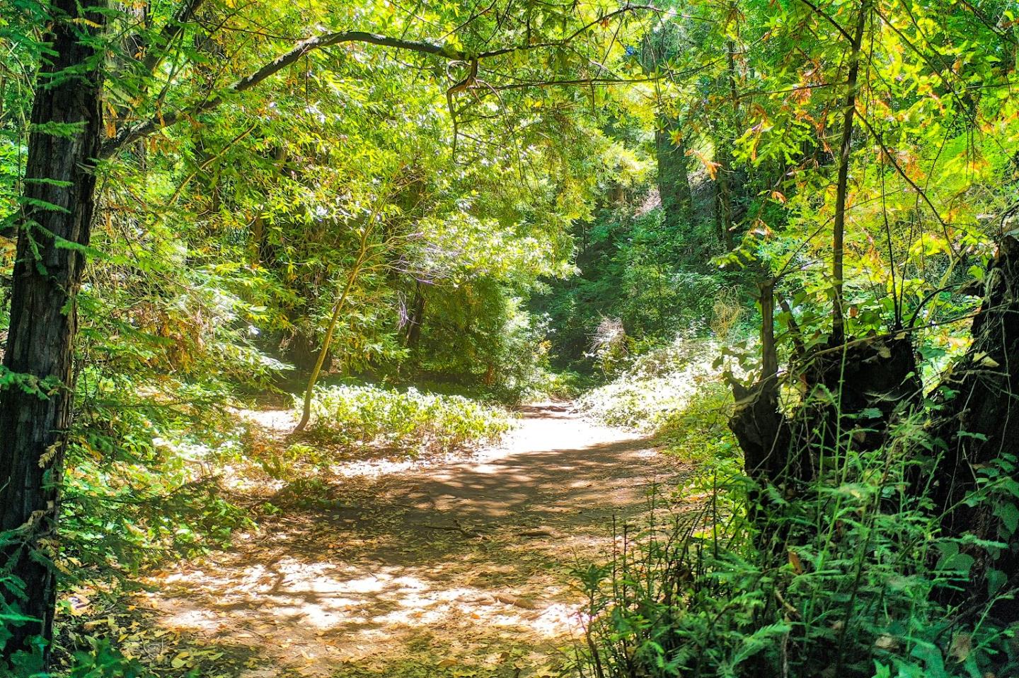 Detail Gallery Image 67 of 69 For 26 Meadow Way a,  Scotts Valley,  CA 95066 - 3 Beds | 2 Baths
