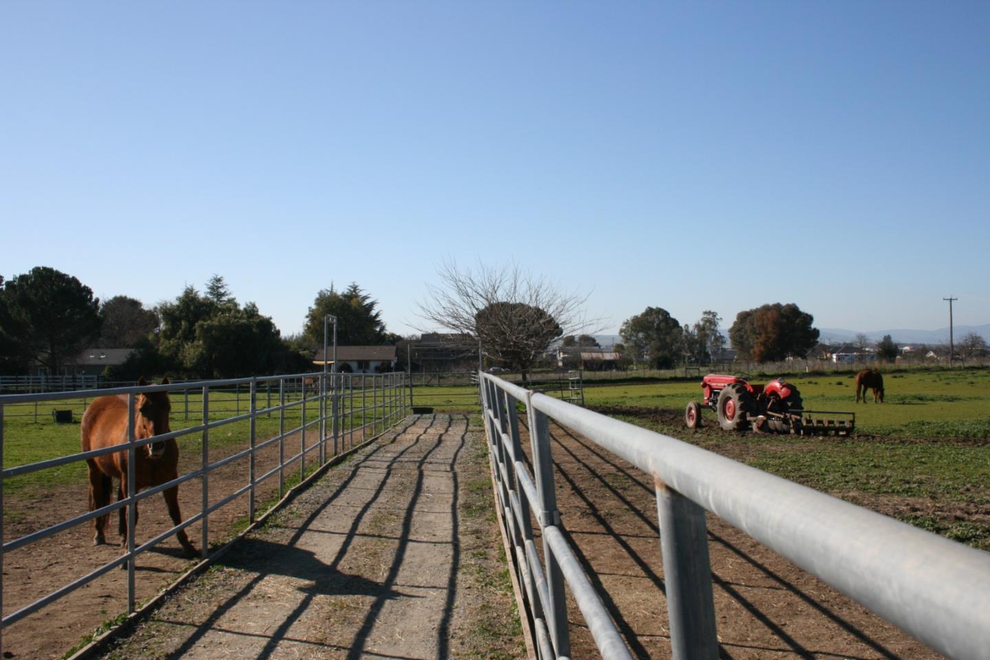 Detail Gallery Image 10 of 39 For 1738 H Santa Ana #H,  Hollister,  CA 95023 - 3 Beds | 2 Baths