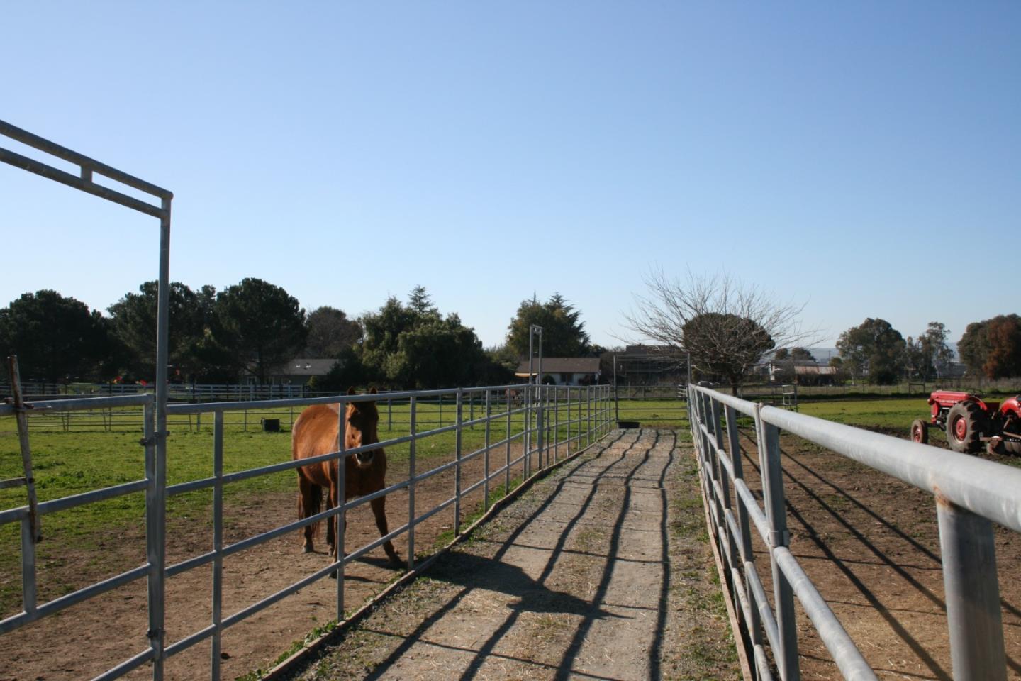 Detail Gallery Image 3 of 39 For 1738 H Santa Ana #H,  Hollister,  CA 95023 - 3 Beds | 2 Baths
