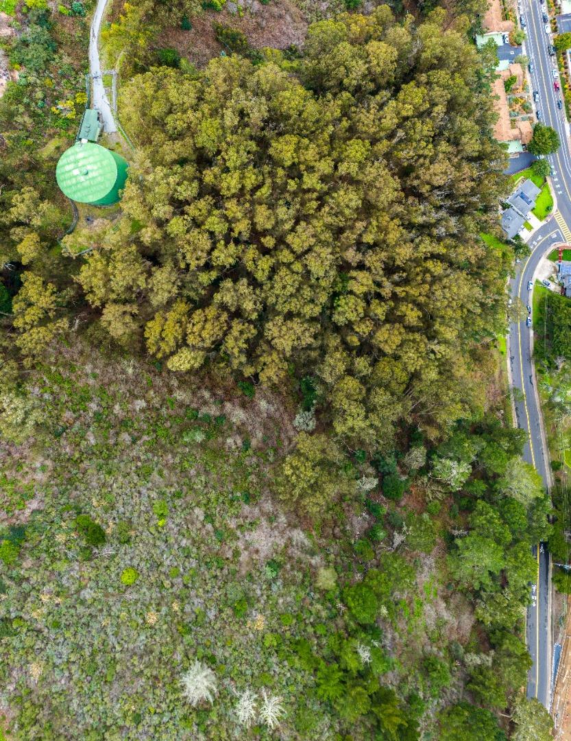 Detail Gallery Image 13 of 20 For 0 Everglades, Pacifica,  CA 94044 - – Beds | – Baths