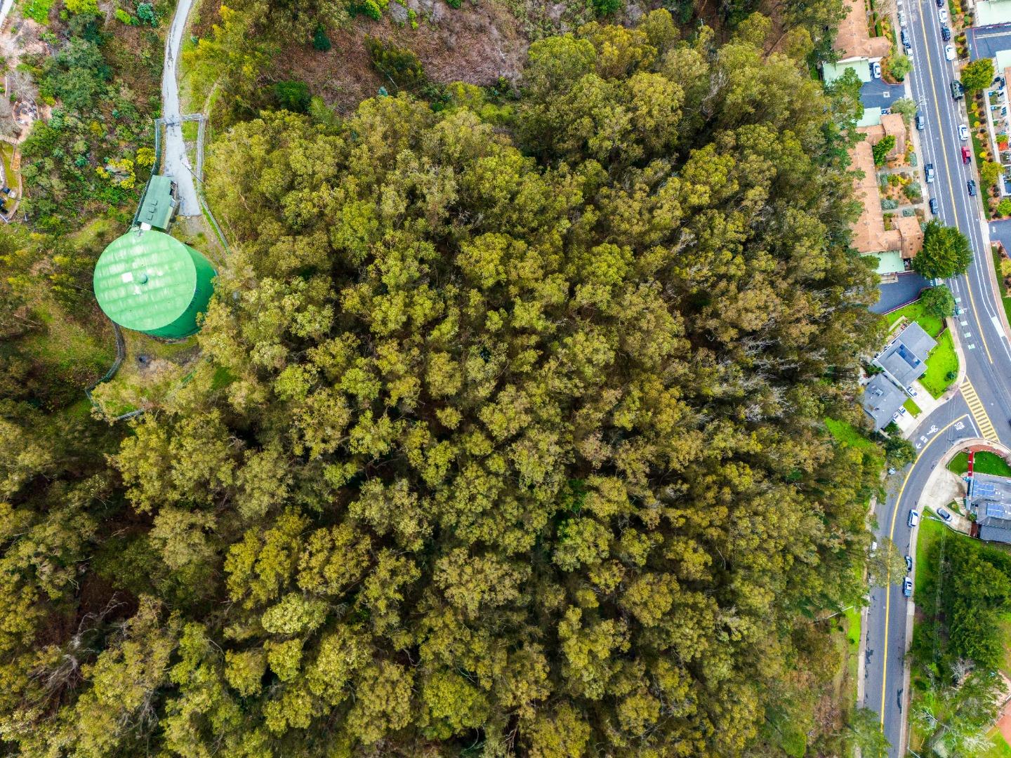 Detail Gallery Image 14 of 20 For 0 Everglades, Pacifica,  CA 94044 - – Beds | – Baths