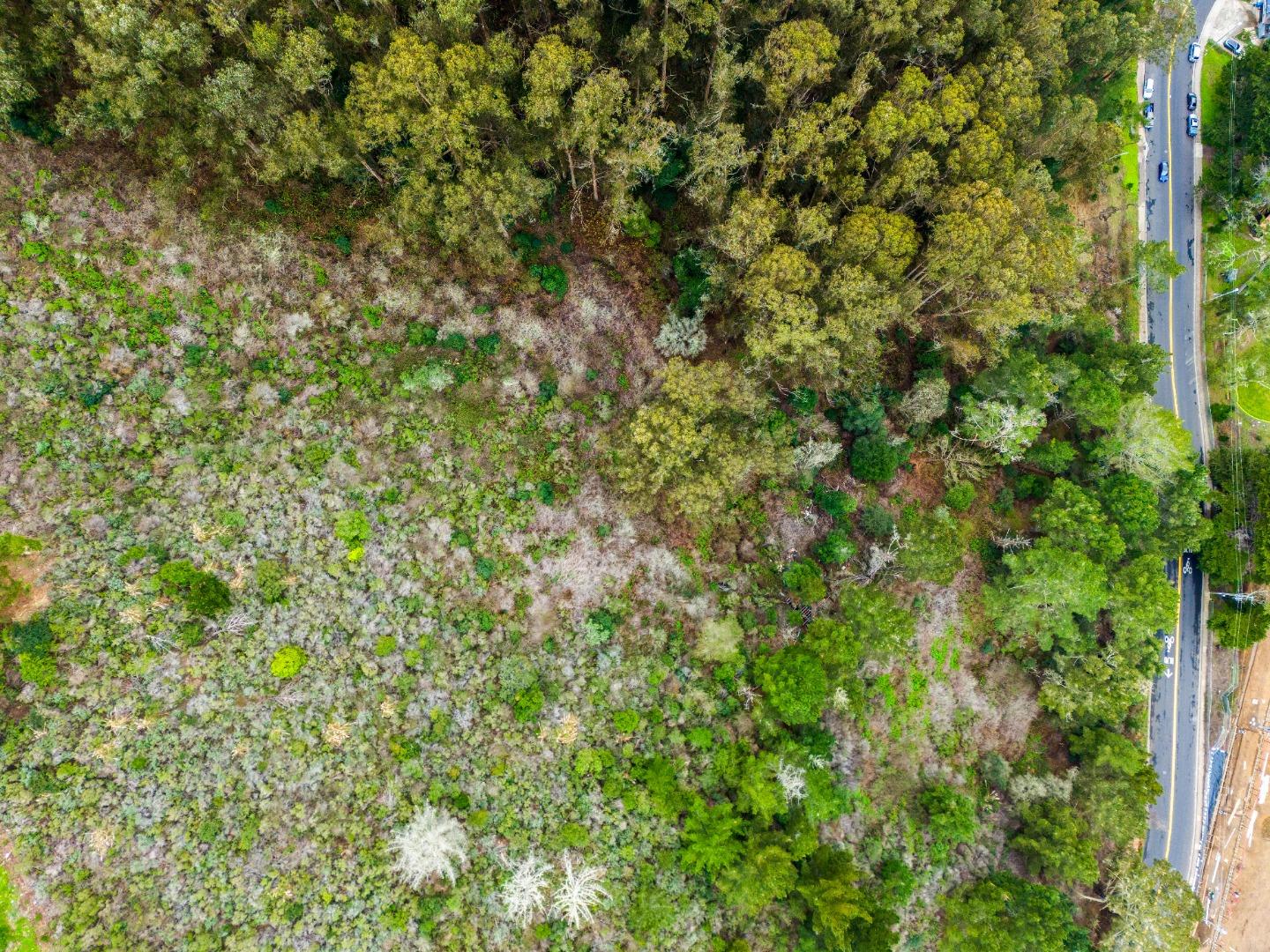 Detail Gallery Image 15 of 20 For 0 Everglades, Pacifica,  CA 94044 - – Beds | – Baths