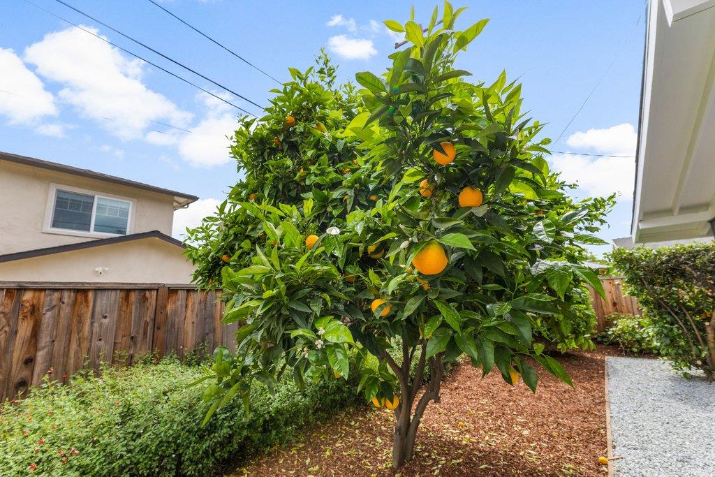 Detail Gallery Image 59 of 77 For 385 Cronin Dr, Santa Clara,  CA 95051 - 3 Beds | 2 Baths