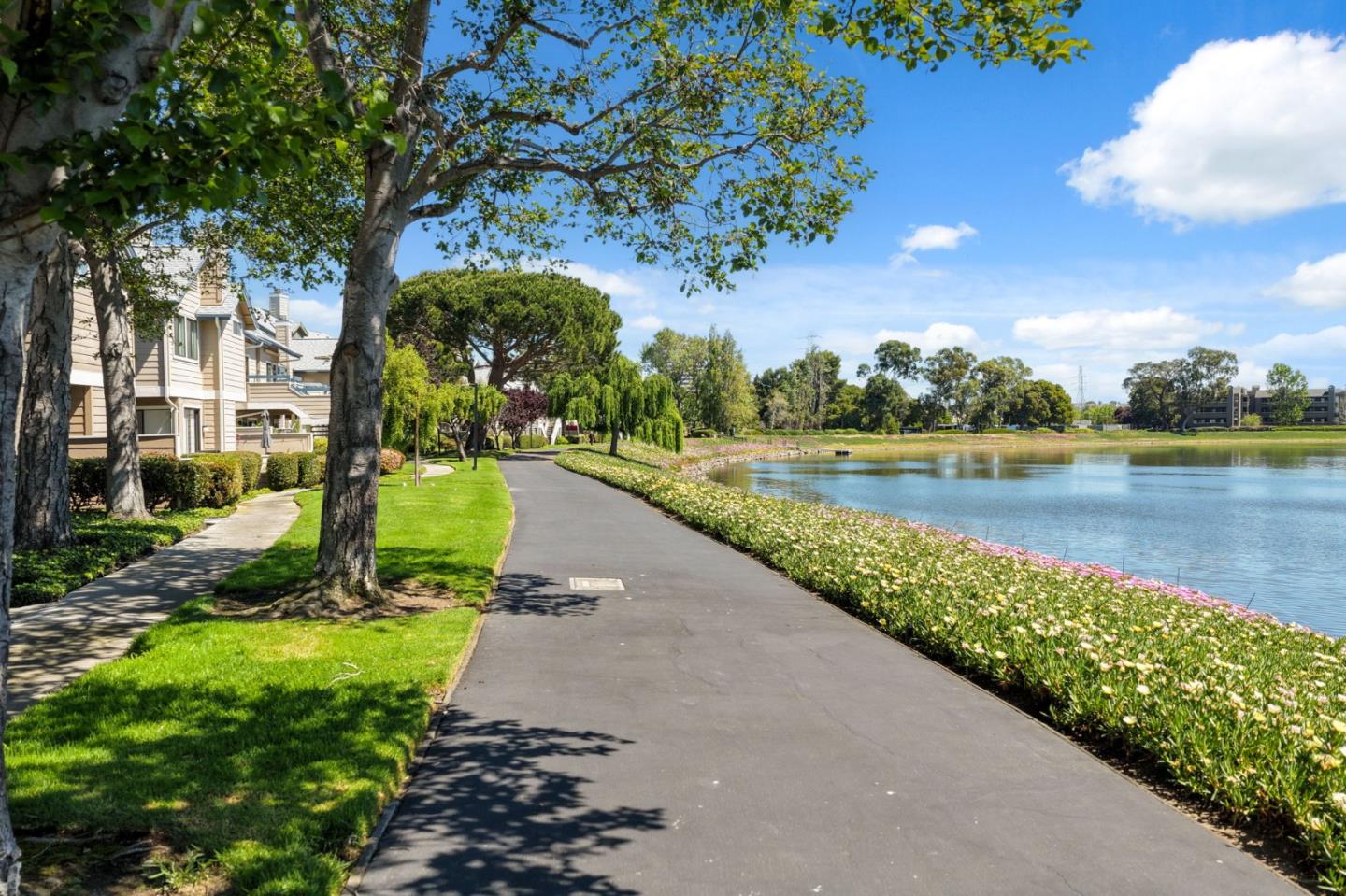 Photo #28: ML82041828 Listing: Photo #28