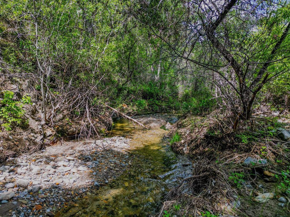 Front Image Thumbnail for ML82041834