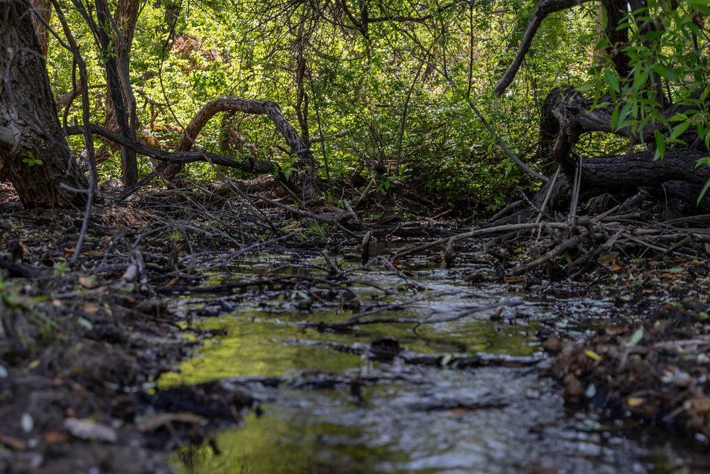 Detail Gallery Image 15 of 28 For 43575 Carmel Valley Rd, Greenfield,  CA 93927 - – Beds | – Baths