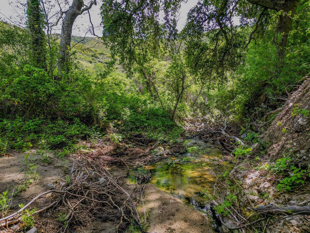 Detail Gallery Image 19 of 28 For 43575 Carmel Valley Rd, Greenfield,  CA 93927 - – Beds | – Baths