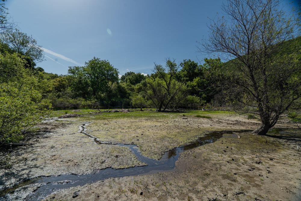 Detail Gallery Image 5 of 28 For 43575 Carmel Valley Rd, Greenfield,  CA 93927 - – Beds | – Baths