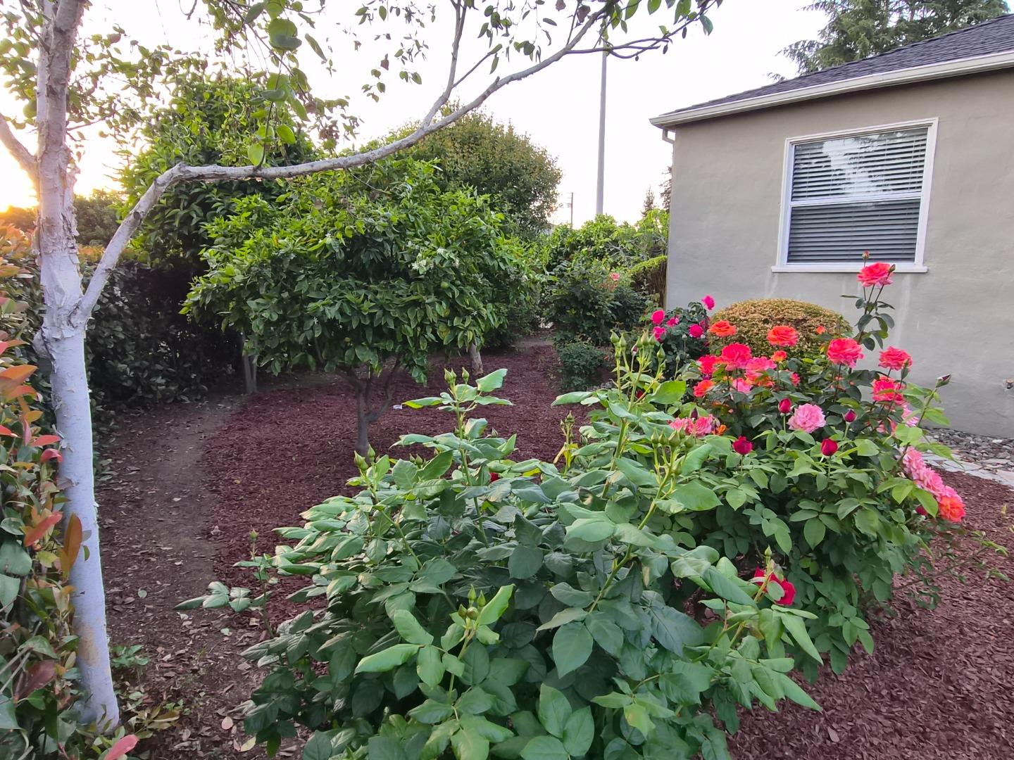 1993 De La Pena Avenue, Santa Clara, CA, 95050