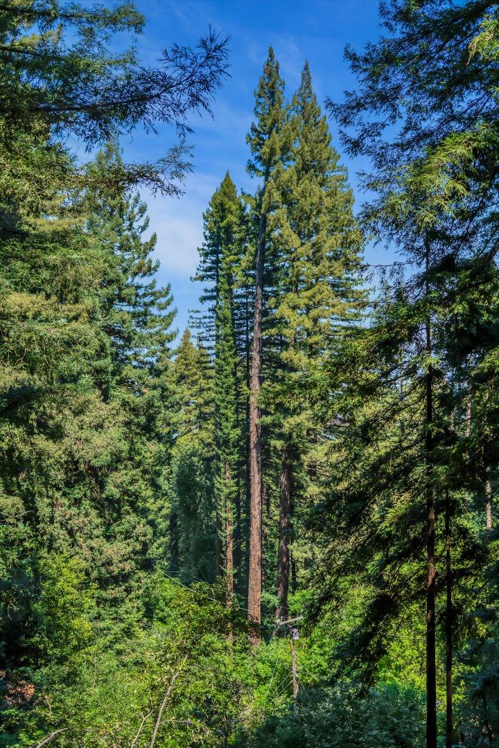 Detail Gallery Image 39 of 44 For 12 Summit Rd, Woodside,  CA 94062 - 4 Beds | 3/1 Baths