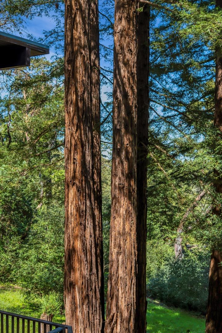 Detail Gallery Image 40 of 44 For 12 Summit Rd, Woodside,  CA 94062 - 4 Beds | 3/1 Baths