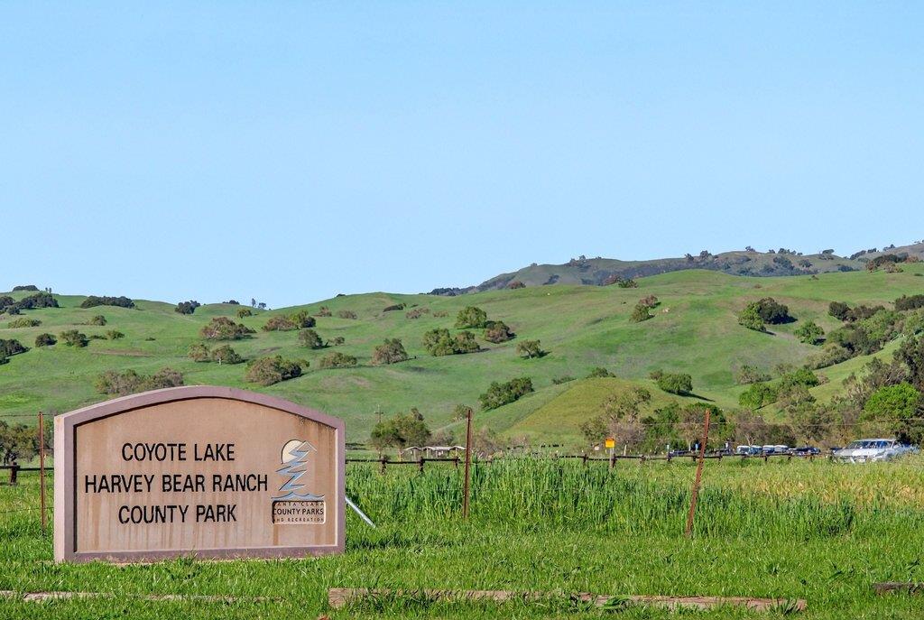 Detail Gallery Image 64 of 76 For 12575 Foothill Ave, San Martin,  CA 95046 - 5 Beds | 3/1 Baths