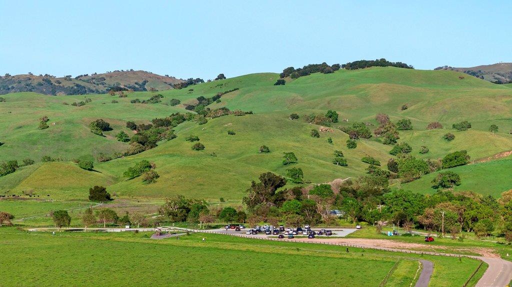 Detail Gallery Image 66 of 76 For 12575 Foothill Ave, San Martin,  CA 95046 - 5 Beds | 3/1 Baths