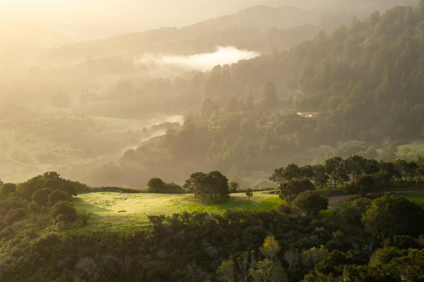 Front Image Thumbnail for ML82041864