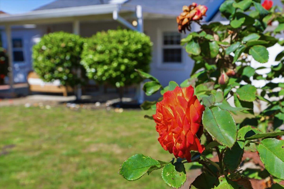 Detail Gallery Image 54 of 97 For 1019 Riverton Dr, San Carlos,  CA 94070 - 3 Beds | 1 Baths