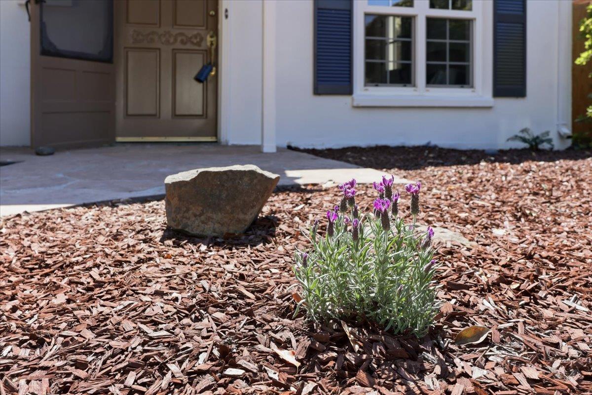 Detail Gallery Image 7 of 97 For 1019 Riverton Dr, San Carlos,  CA 94070 - 3 Beds | 1 Baths