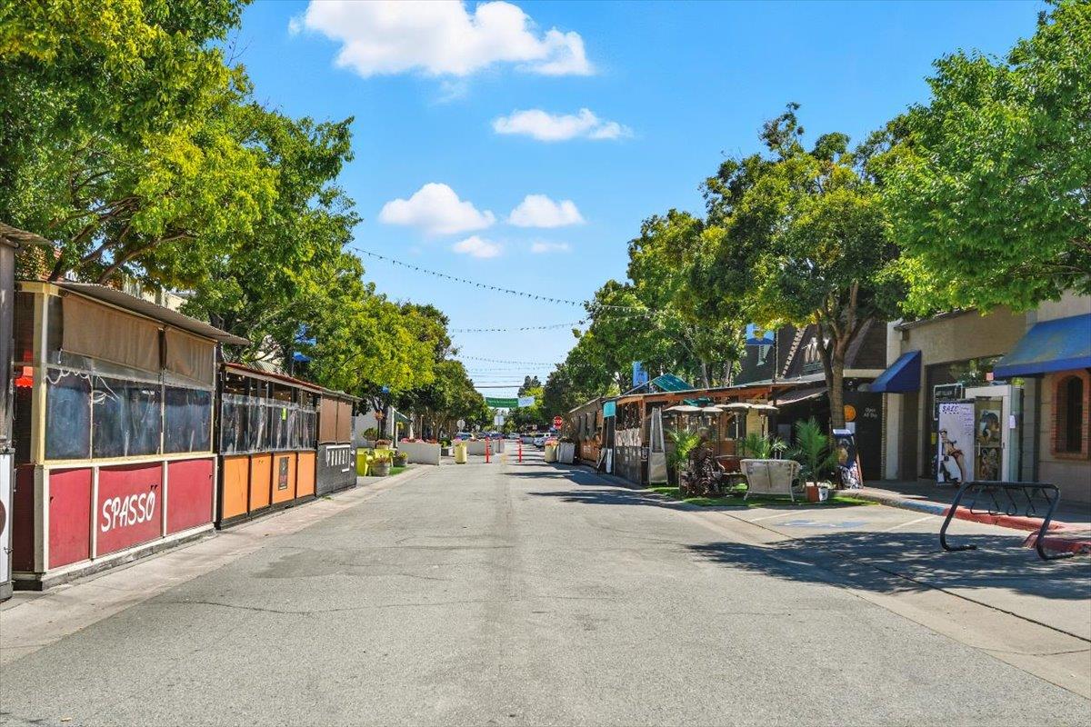 Detail Gallery Image 86 of 97 For 1019 Riverton Dr, San Carlos,  CA 94070 - 3 Beds | 1 Baths