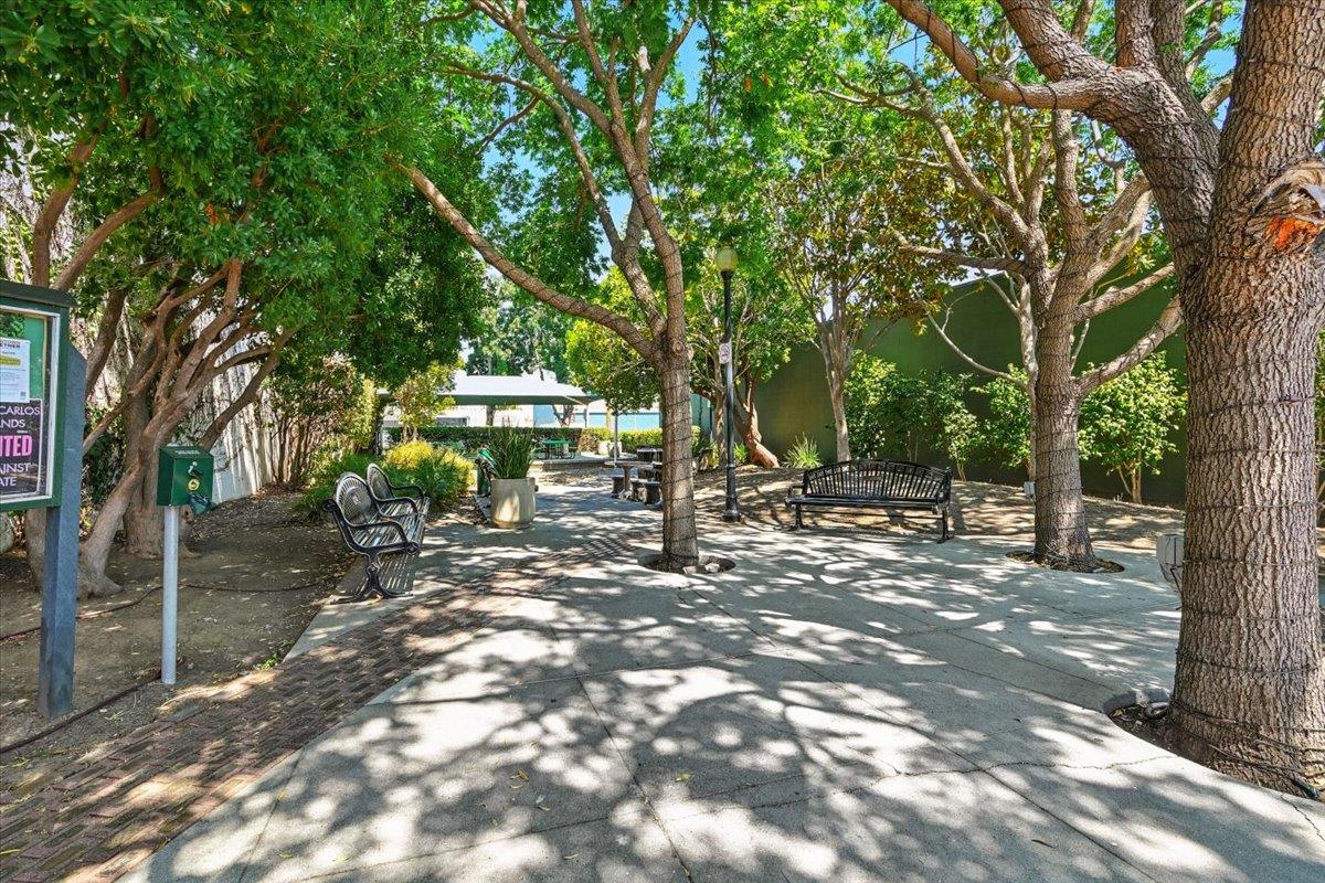 Detail Gallery Image 87 of 97 For 1019 Riverton Dr, San Carlos,  CA 94070 - 3 Beds | 1 Baths