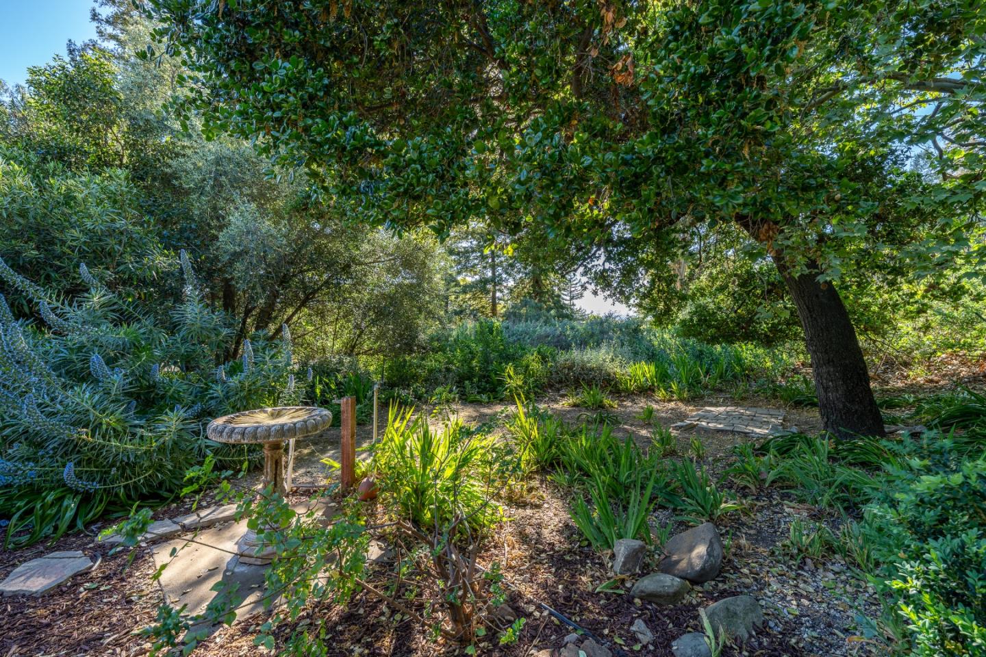 Detail Gallery Image 7 of 44 For 11265 Canyon Dr, San Jose,  CA 95127 - 2 Beds | 2 Baths