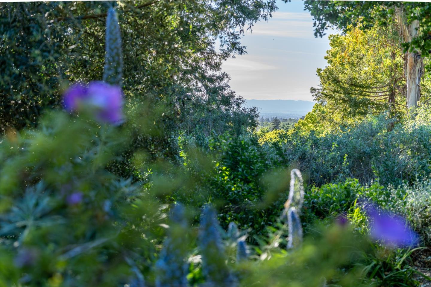 Detail Gallery Image 8 of 44 For 11265 Canyon Dr, San Jose,  CA 95127 - 2 Beds | 2 Baths