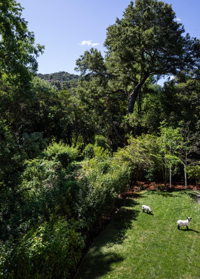 Detail Gallery Image 26 of 44 For 25550 Moody Rd, Los Altos Hills,  CA 94022 - 5 Beds | 4/1 Baths