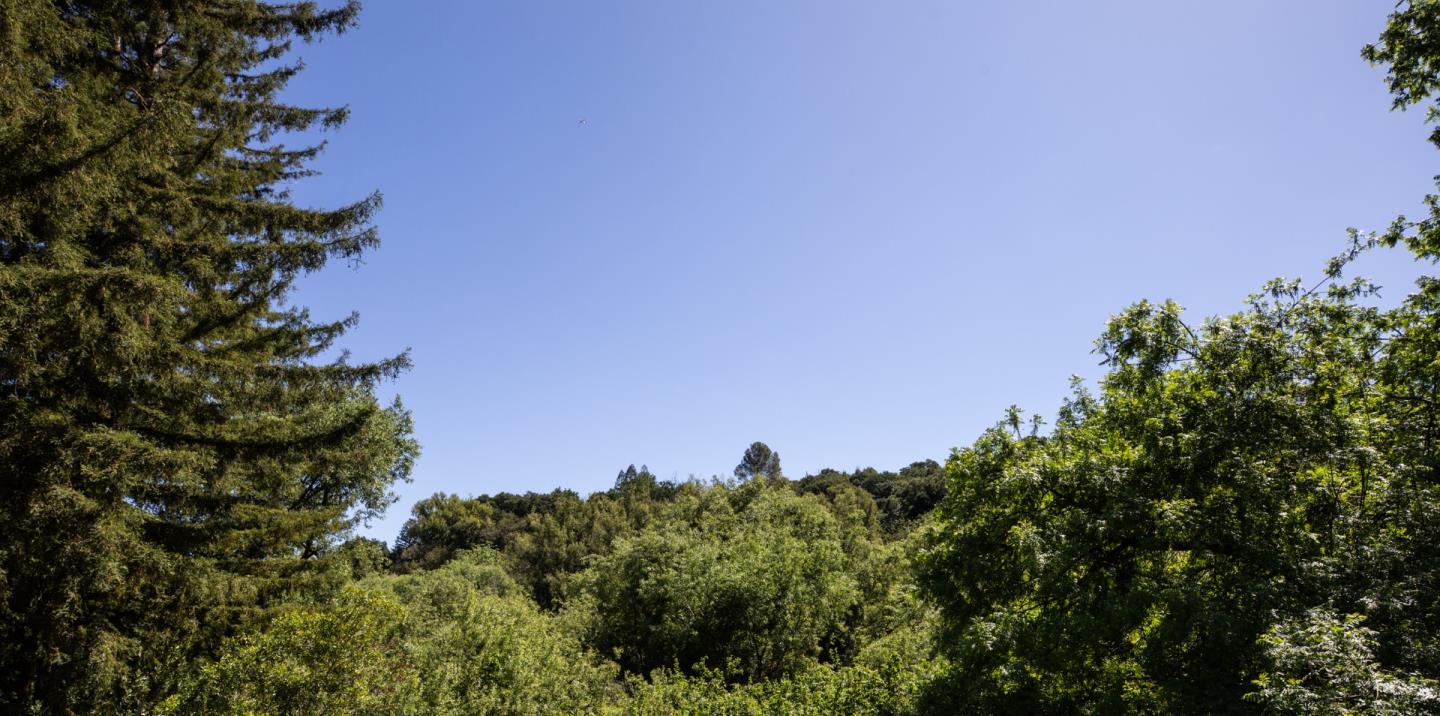 Detail Gallery Image 27 of 44 For 25550 Moody Rd, Los Altos Hills,  CA 94022 - 5 Beds | 4/1 Baths