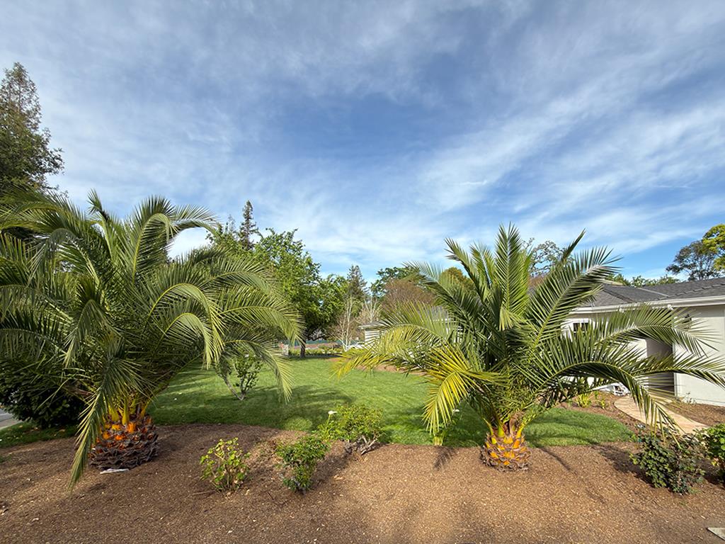 Detail Gallery Image 28 of 31 For 2 Callado, Atherton,  CA 94027 - 5 Beds | 5 Baths