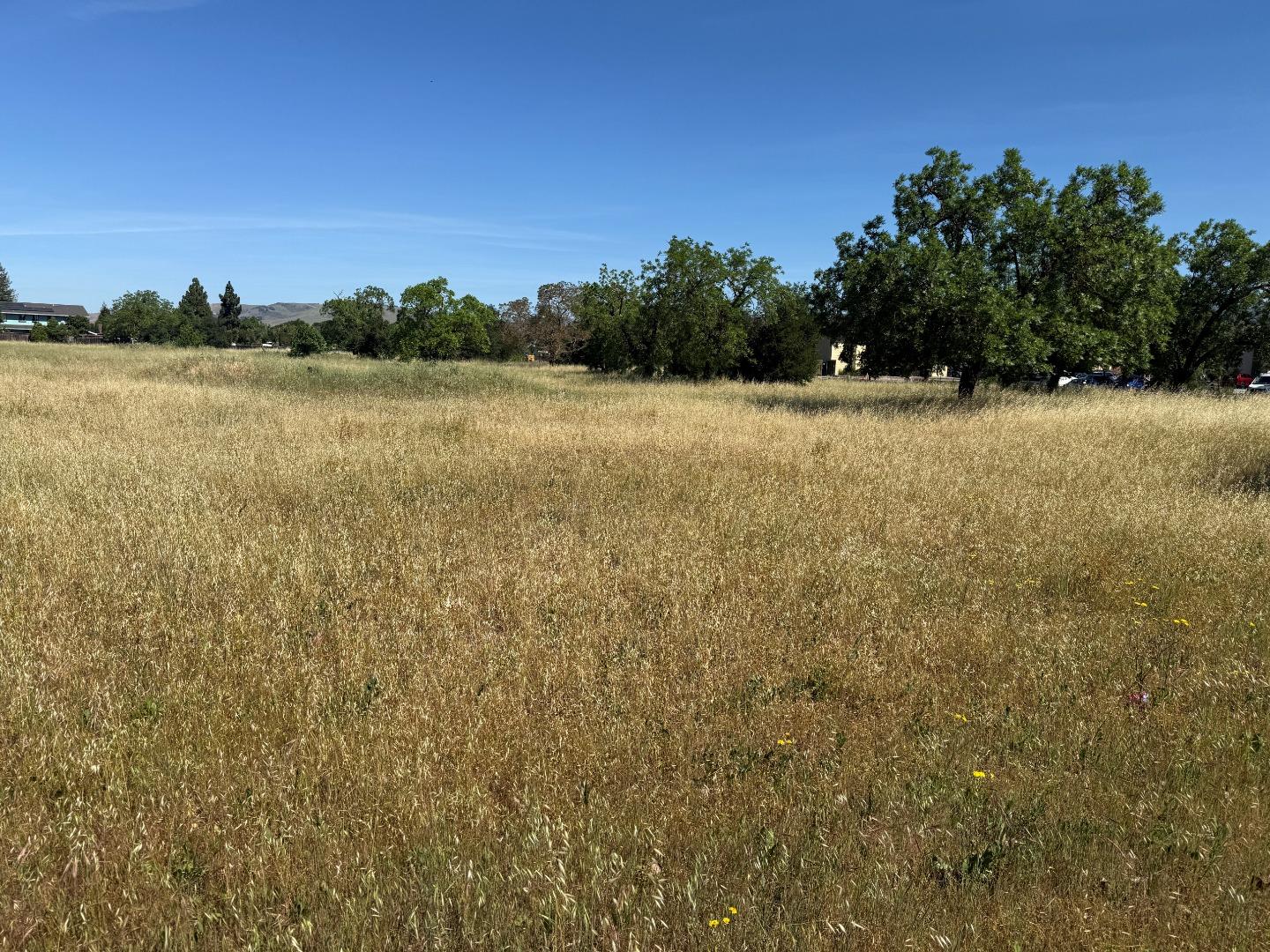 Detail Gallery Image 4 of 7 For 0 E Dunne, Morgan Hill,  CA 95037 - – Beds | – Baths