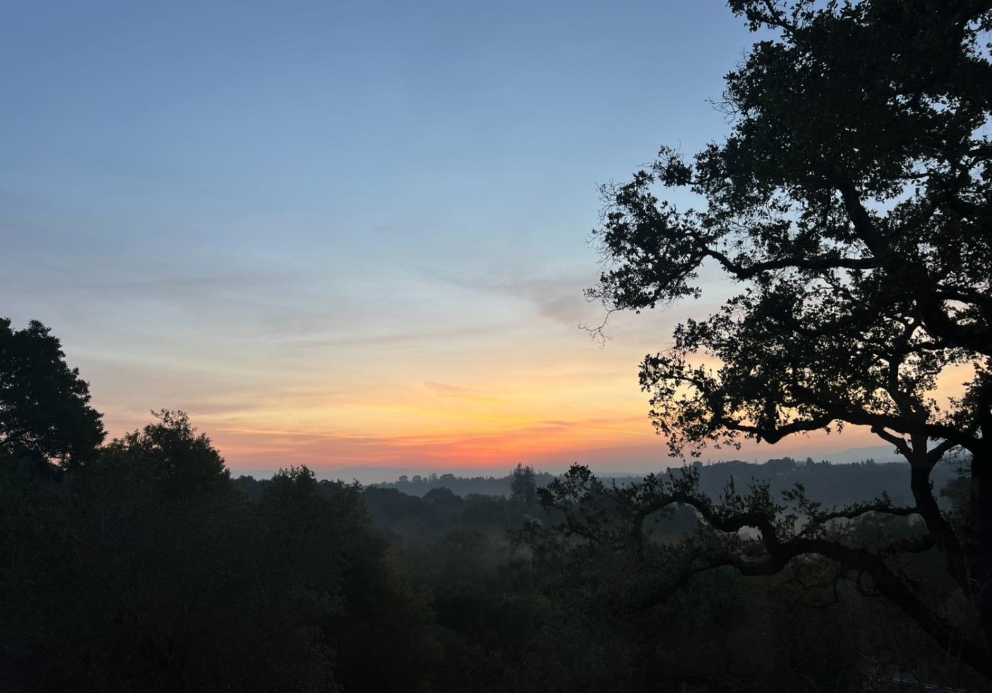 Detail Gallery Image 31 of 38 For 175 Alta Mesa Rd, Woodside,  CA 94062 - 4 Beds | 3/1 Baths