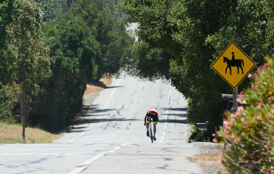 Detail Gallery Image 32 of 38 For 175 Alta Mesa Rd, Woodside,  CA 94062 - 4 Beds | 3/1 Baths