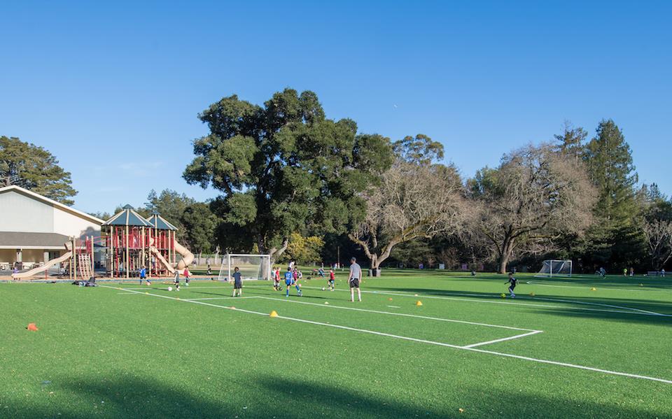 Detail Gallery Image 36 of 38 For 175 Alta Mesa Rd, Woodside,  CA 94062 - 4 Beds | 3/1 Baths