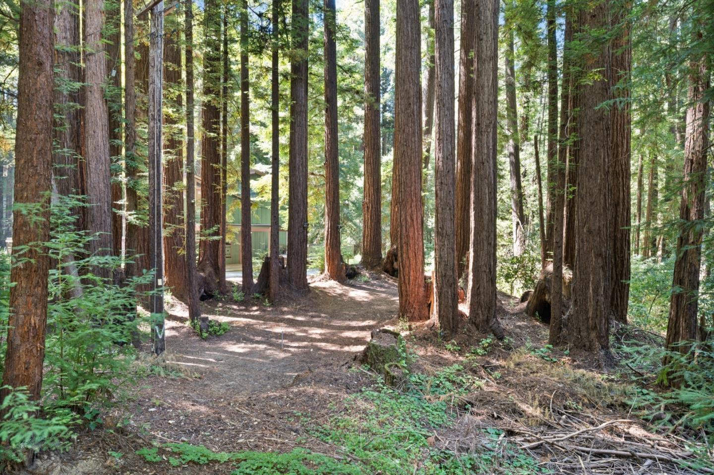 Detail Gallery Image 17 of 52 For 1666 Creek Dr, Felton,  CA 95018 - 4 Beds | 2/1 Baths