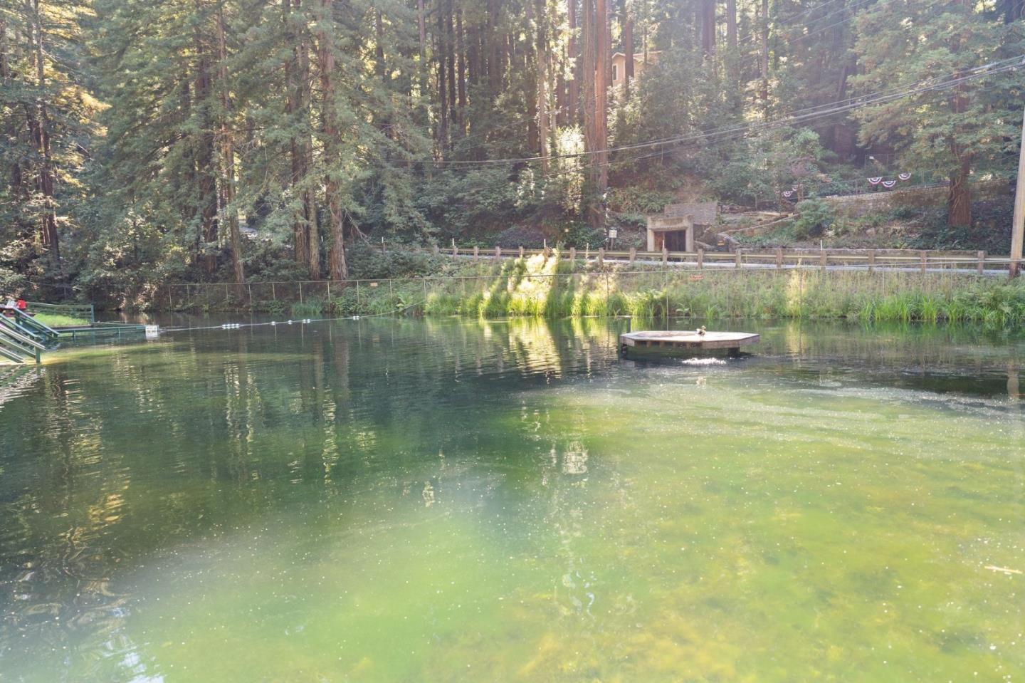 Detail Gallery Image 47 of 52 For 1666 Creek Dr, Felton,  CA 95018 - 4 Beds | 2/1 Baths