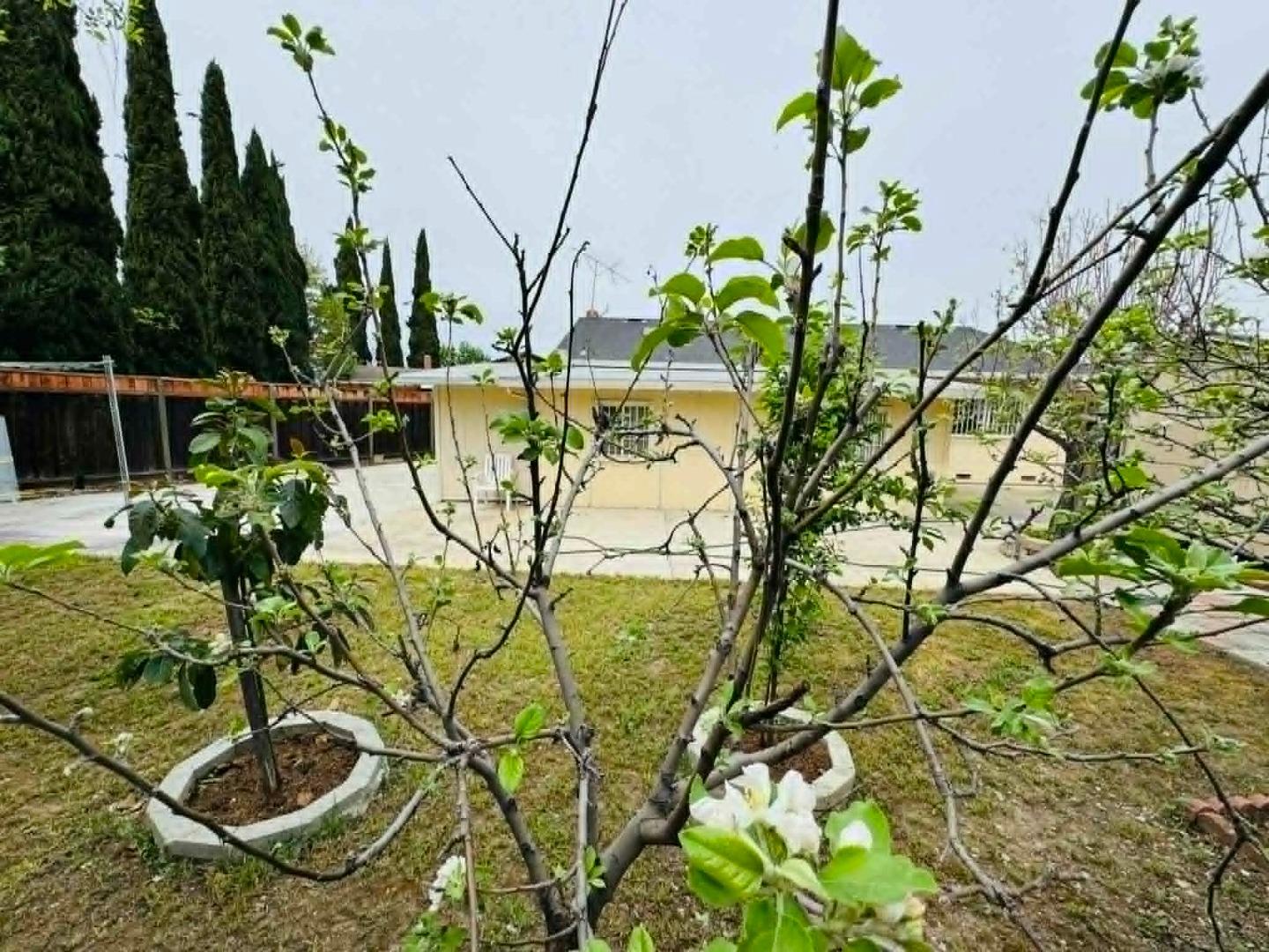 Detail Gallery Image 20 of 26 For 1227 Letitia Ct, San Jose,  CA 95122 - 3 Beds | 2 Baths