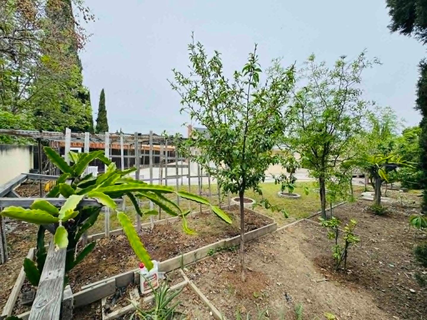 Detail Gallery Image 21 of 26 For 1227 Letitia Ct, San Jose,  CA 95122 - 3 Beds | 2 Baths