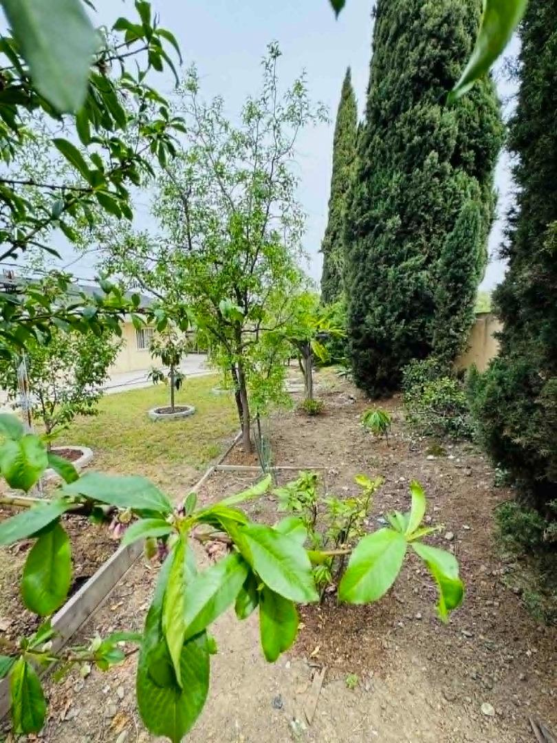 Detail Gallery Image 22 of 26 For 1227 Letitia Ct, San Jose,  CA 95122 - 3 Beds | 2 Baths