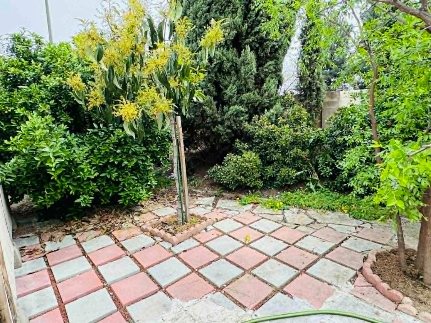 Detail Gallery Image 24 of 26 For 1227 Letitia Ct, San Jose,  CA 95122 - 3 Beds | 2 Baths