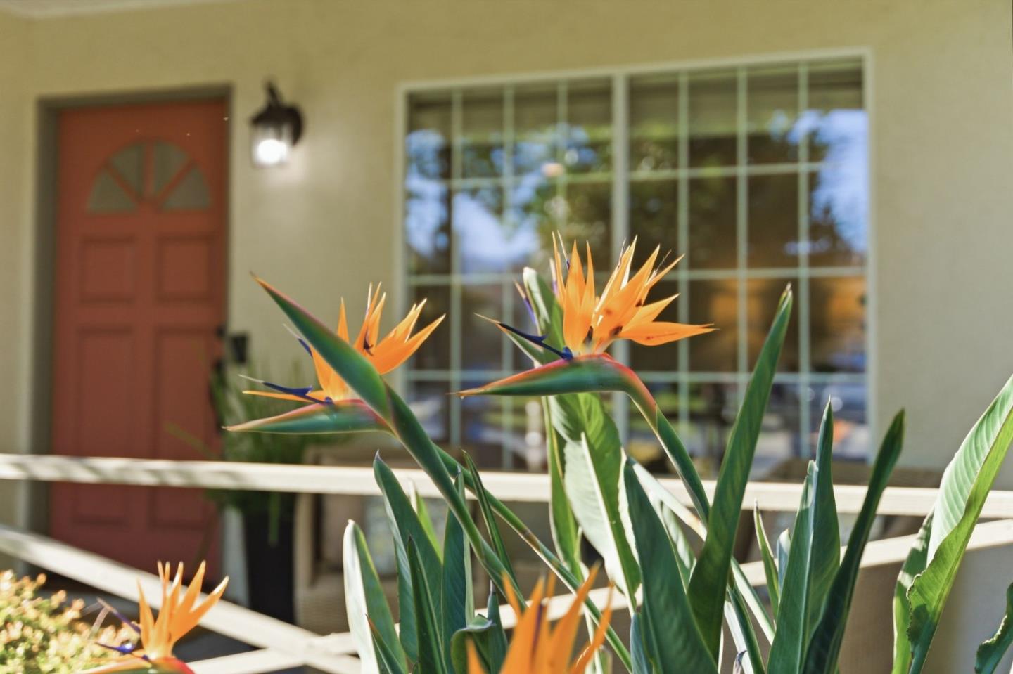 Detail Gallery Image 4 of 39 For 20571 Sunrise Dr, Cupertino,  CA 95014 - 3 Beds | 1 Baths