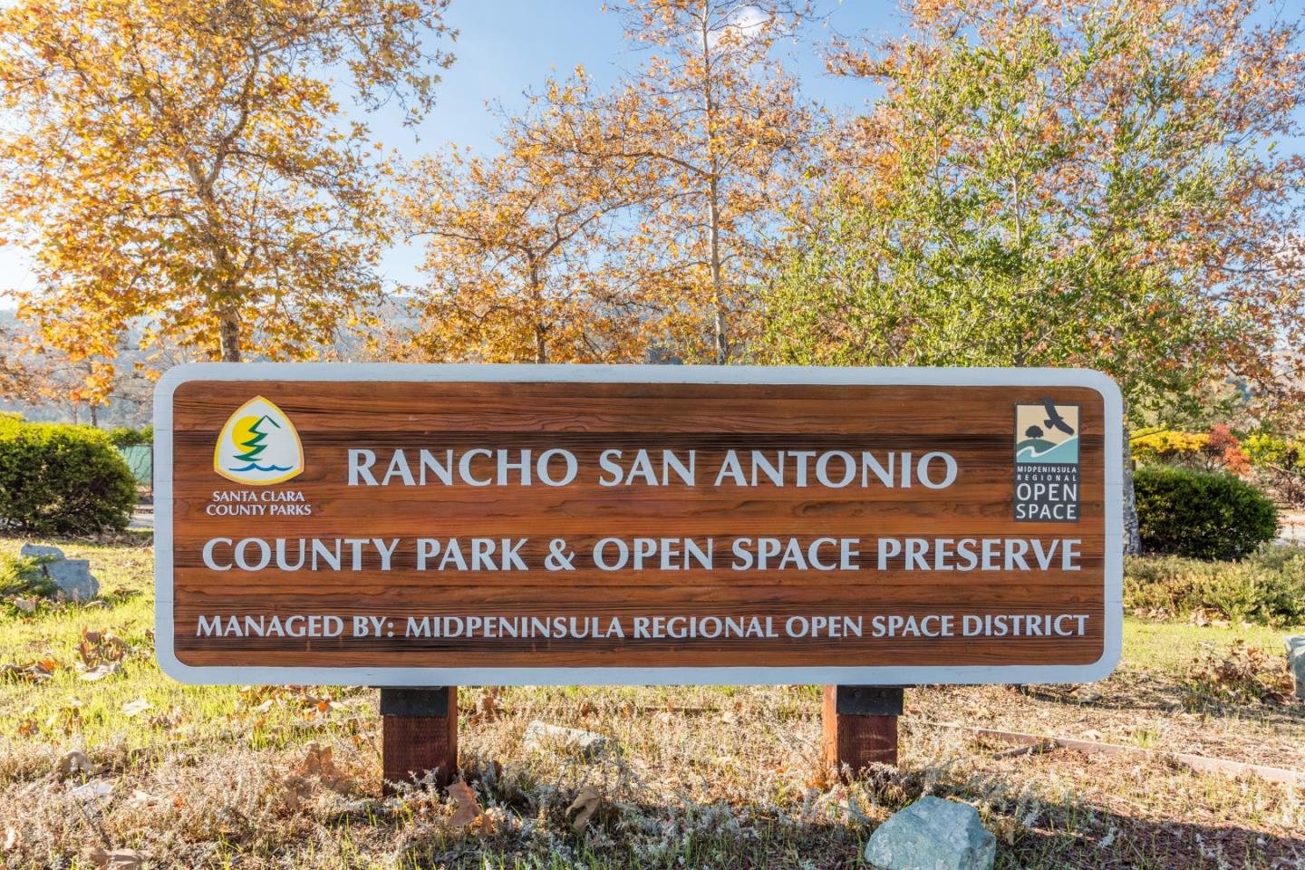 Photo #83: ML82042030 Listing: Photo #83