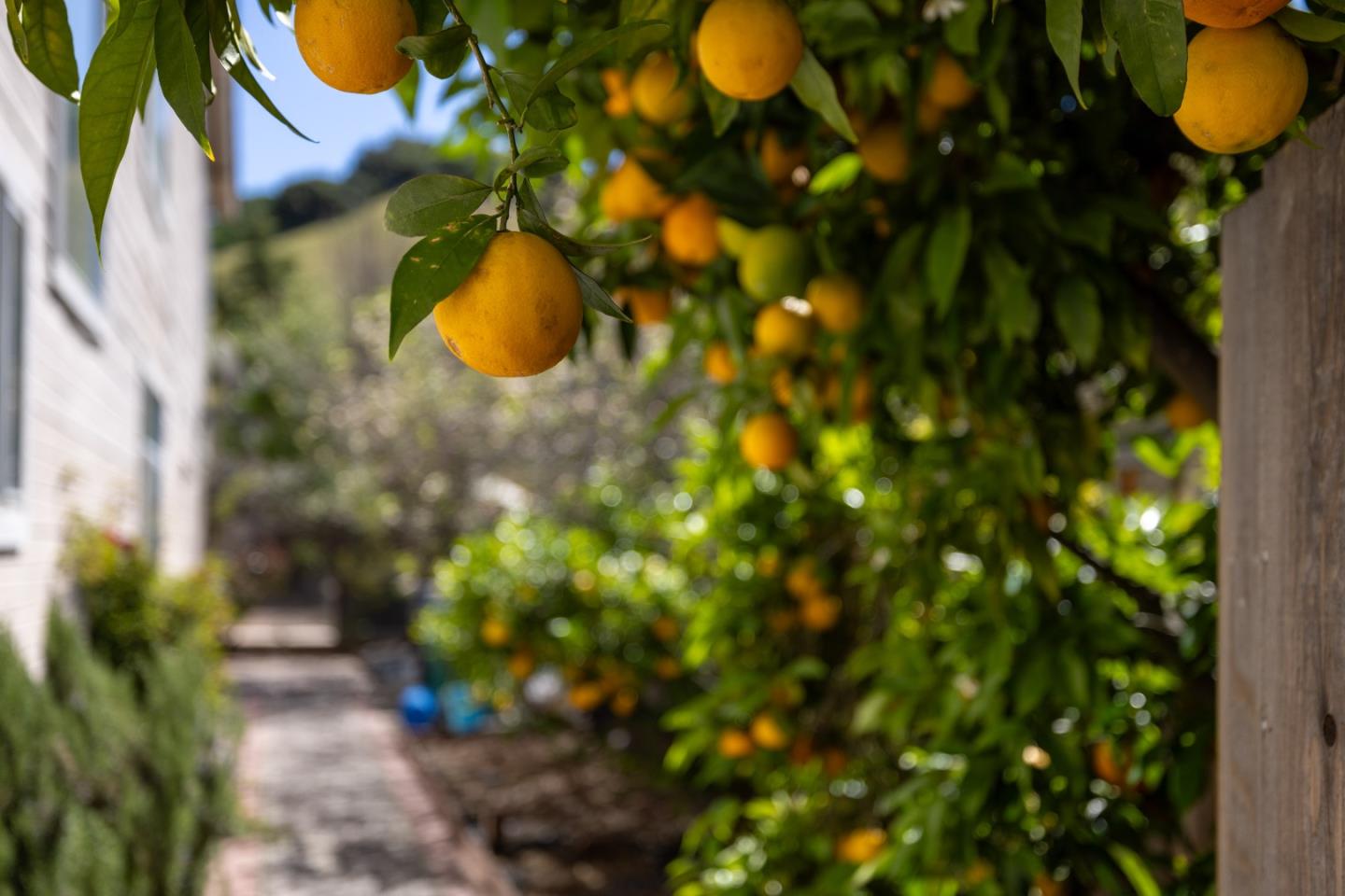 Detail Gallery Image 35 of 47 For 17554 Sugarmill Rd, Salinas,  CA 93908 - 5 Beds | 2/1 Baths