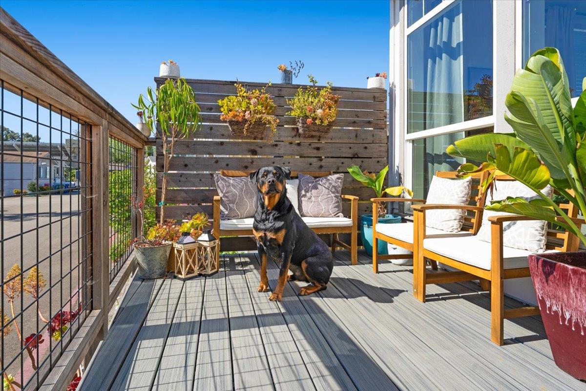 Detail Gallery Image 3 of 56 For 1190 7th Ave #3,  Santa Cruz,  CA 95062 - 3 Beds | 2 Baths